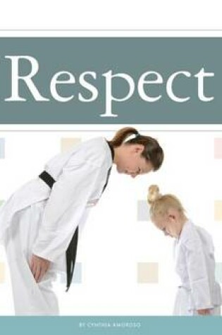 Cover of Respect