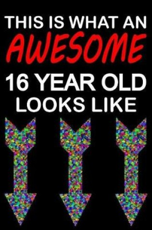 Cover of Awesome 16 Year Old