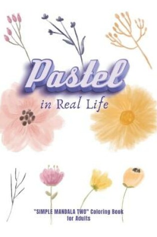 Cover of Pastel in Real Life