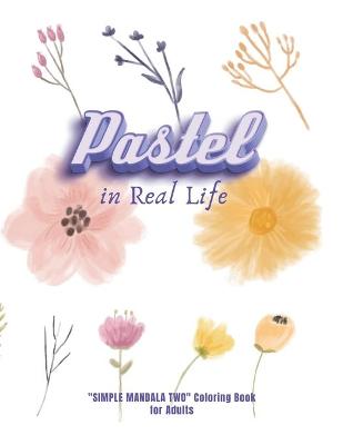 Book cover for Pastel in Real Life