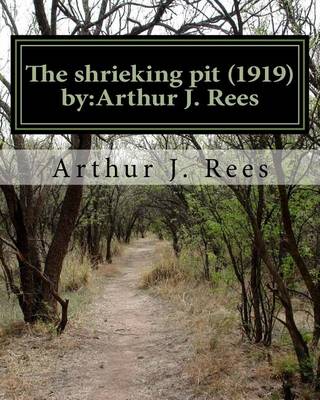 Book cover for The shrieking pit (1919) by