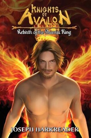 Cover of Rebirth of the Phoenix King