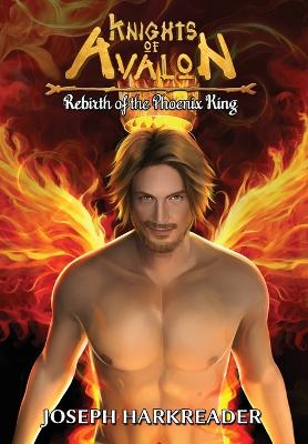 Book cover for Rebirth of the Phoenix King