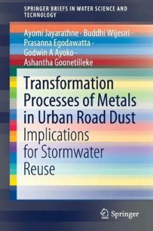 Cover of Transformation Processes of Metals in Urban Road Dust