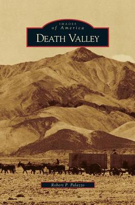 Book cover for Death Valley