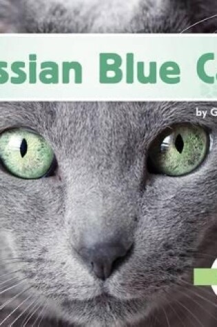 Cover of Russian Blue Cats