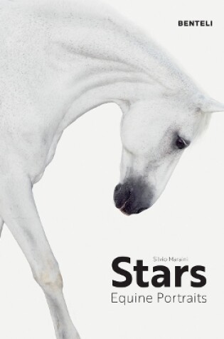 Cover of Stars: Equine Portraits