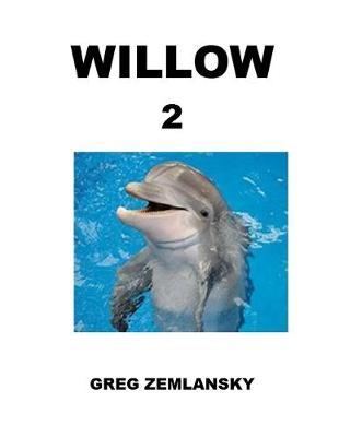 Book cover for Willow 2