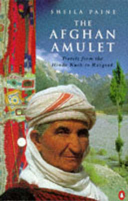 Book cover for The Afghan Amulet