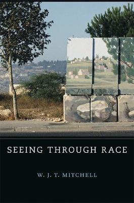 Book cover for Seeing Through Race