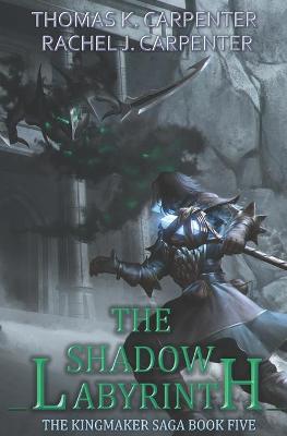Book cover for The Shadow Labyrinth