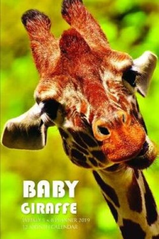 Cover of Baby Giraffe Weekly 5 X 8 Planner 2019