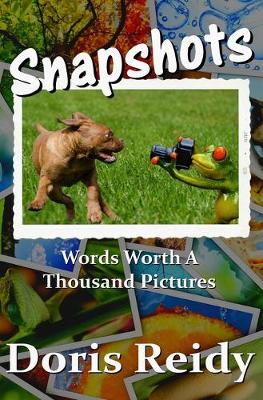 Book cover for Snapshots