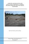 Book cover for A Bronze Age Ring Ditch and Anglo-Saxon Cemetery at Storey's Meadow, Marland Lane, West Meon, Hampshire