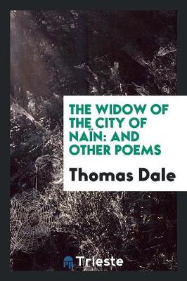 Book cover for The Widow of the City of Na n