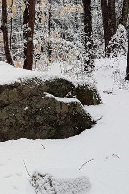 Cover of Winter Journal Rock Snowy Forest