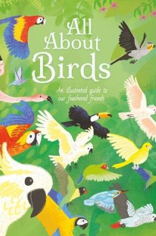 Cover of All about Birds