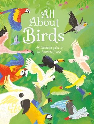 Book cover for All about Birds