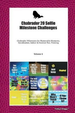 Cover of Chabrador 20 Selfie Milestone Challenges