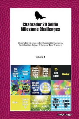 Book cover for Chabrador 20 Selfie Milestone Challenges