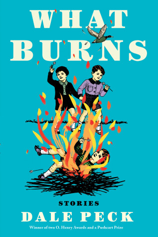 Book cover for What Burns