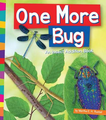 Book cover for One More Bug