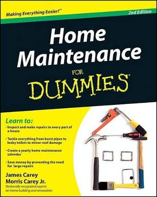 Book cover for Home Maintenance For Dummies