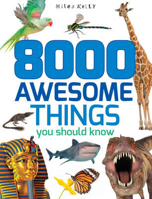 Book cover for 8000 Awesome Things You Should Know