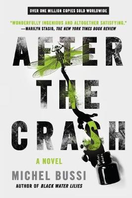 Book cover for After the Crash