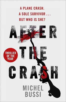 Book cover for After the Crash