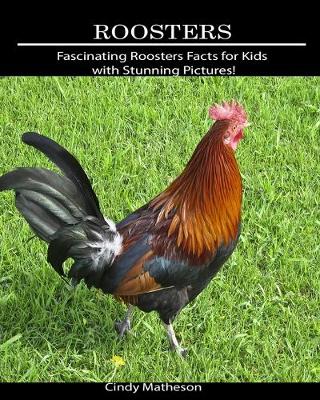 Book cover for Roosters