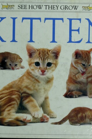 Cover of Burton Jane : See How They Grow: Kitten (Hbk)