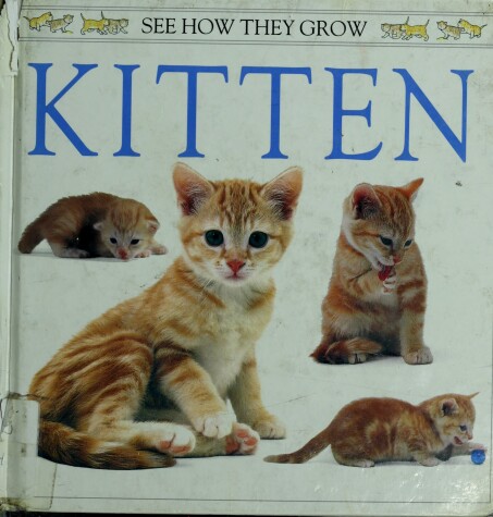 Book cover for Burton Jane : See How They Grow: Kitten (Hbk)