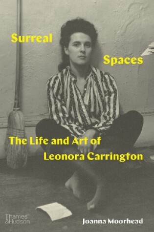 Cover of Surreal Spaces