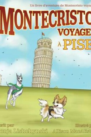 Cover of Montecristo voyage à Pise