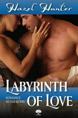 Cover of Labyrinth of Love