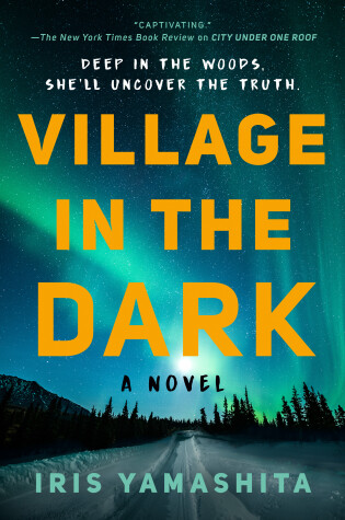 Cover of Village in the Dark