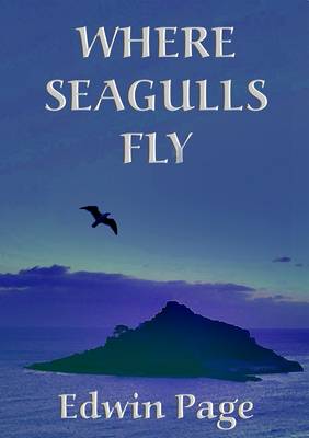 Book cover for Where Seagulls Fly