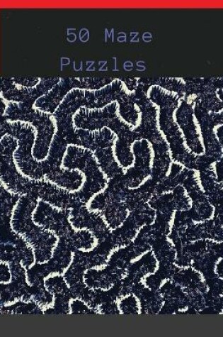 Cover of 50 Maze Puzzles
