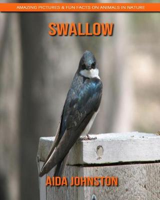 Book cover for Swallow