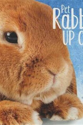Cover of Pet Rabbits Up Close
