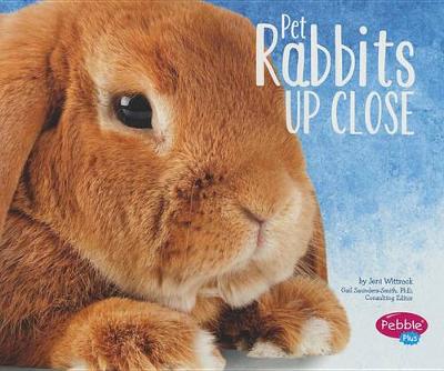 Book cover for Pet Rabbits Up Close