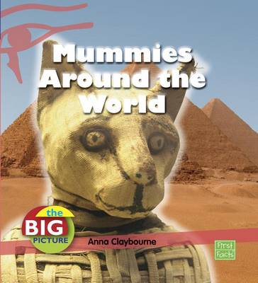 Book cover for Mummies Around the World