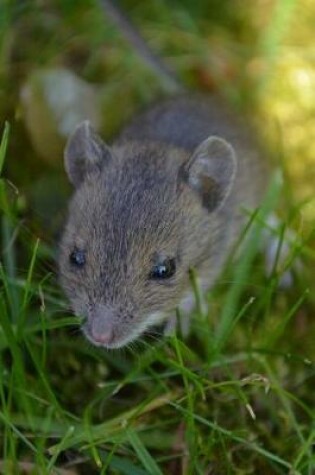 Cover of Field Mouse in a Meadow Journal