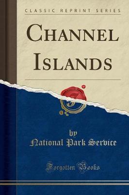 Book cover for Channel Islands (Classic Reprint)