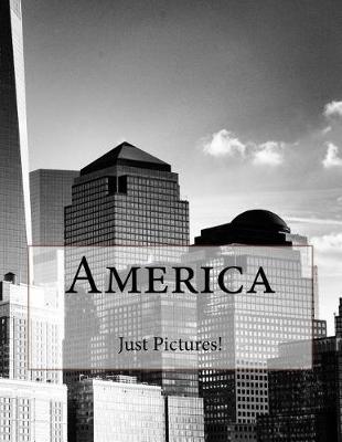 Book cover for America