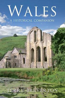 Book cover for Wales A Historical Companion