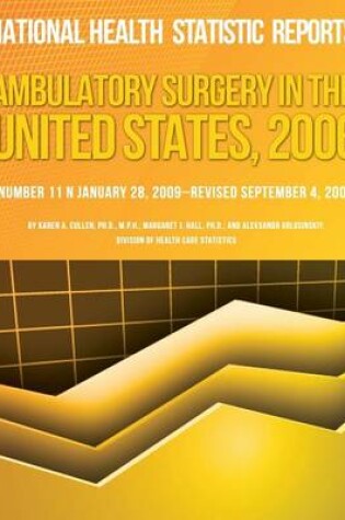 Cover of Ambulatory Surgery in the United States, 2006