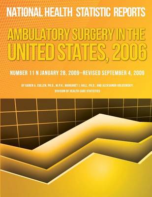 Book cover for Ambulatory Surgery in the United States, 2006