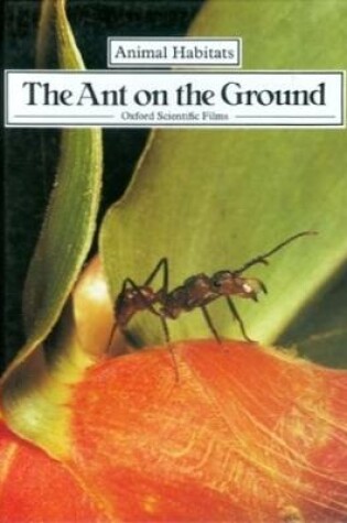 Cover of The Ant on the Ground